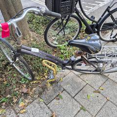 Kvinners sykkel, som rapportert av Gemeente Roermond ved bruk av iLost