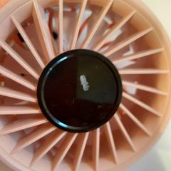 Kézi ventilátor rose, amint azt TCL az iLost segítségével jelentette.