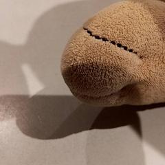 ぬいぐるみ がiLostで De Efteling によって報告されました