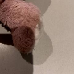 Peluche, come riportato da De Efteling utilizzando iLost