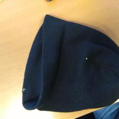 Muts, gemeldet von Hermes Eindhoven über iLost