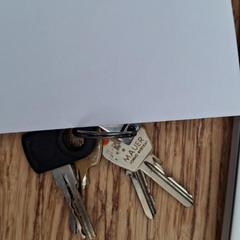Klíče, jak nahlášeno Gemeente Zeist pomocí iLost
