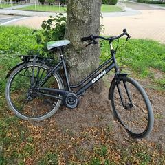 FIets Crown, jak bylo nahlášeno na iLost
