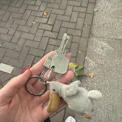 Keys, jak bylo nahlášeno na iLost