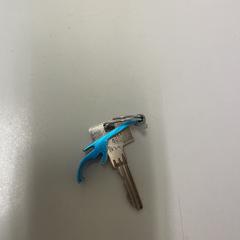 Sleutel met blauwe sleutelhanger, jak bylo nahlášeno na iLost