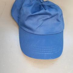 Baseball cap, as reported by Diergaarde Blijdorp using iLost