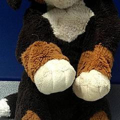 Peluche, a été signalé par IKEA Arlon utilisant iLost