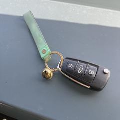 Auto sleutel, as reported to iLost