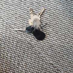 Keychain, as reported by Zwarte Cross (Gemeentehuis) using iLost