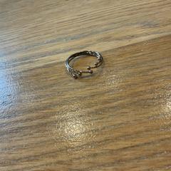 Jewelry, as reported by Designer Outlet Roosendaal using iLost