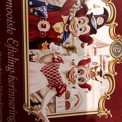 Attractiefoto symbolica, zoals gemeld door De Efteling met iLost