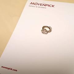 Earring, as reported by Mövenpick Hotel Amsterdam City Centre using iLost