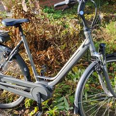 Elektrische fiets Batavus がiLostに報告されました