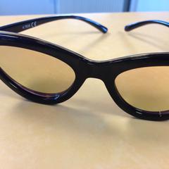 Zonnebril, as reported by Dolfinarium using iLost