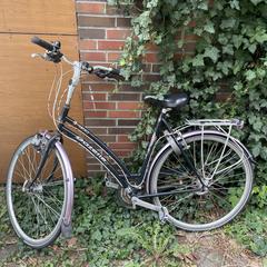 Gazelle fiets, segundo informou a iLost