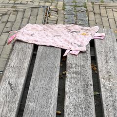 Roze knuffeldoekje, som rapportert til iLost
