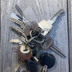 Sleutelbos, jak bylo nahlášeno na iLost