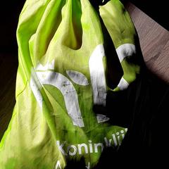 Bag, as reported by EBS Tramplein using iLost