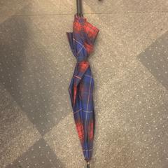 Paraplu, as reported by Jaarbeurs using iLost