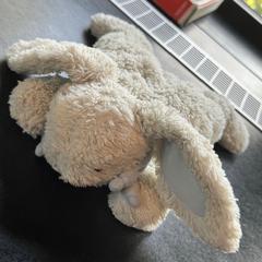 Stuffed animal, as reported by Hotel V Fizeaustraat using iLost