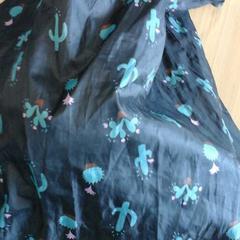 Tasje, as reported by Connexxion Haaglanden Den Haag using iLost