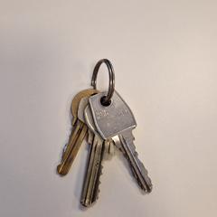 Chaveiro, como reportado por Gemeente Noordwijk utilizando o iLost