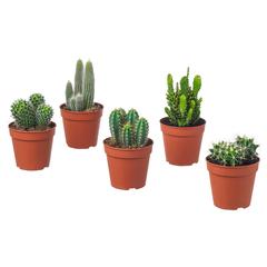IKEA product, as reported by IKEA Alfragide using iLost