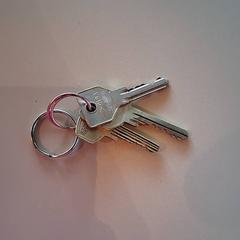 Klíče, jak nahlášeno Familiepark Drievliet pomocí iLost