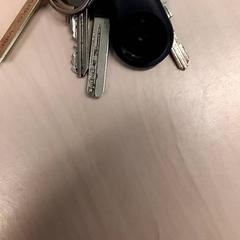 Keys, as reported by RET using iLost