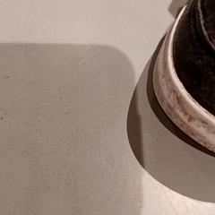 Scarpa, come riportato da De Efteling utilizzando iLost