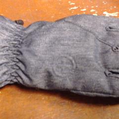 handschoen barts, a été signalé par SnowWorld, Landgraaf utilisant iLost