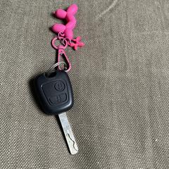 Autosleutel، كما تم الإبلاغ عنه عبر iLost