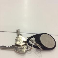 Sleutels, gemeldet von Eindhoven Airport über iLost