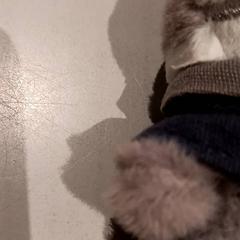 Xoguete de peluche, segundo informou De Efteling usando iLost