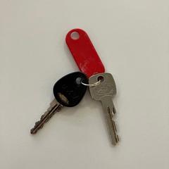 Nøkler, som rapportert av Gemeente Ede ved bruk av iLost