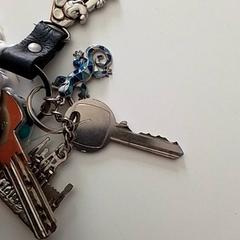 Chiave, come riportato da ilévia utilizzando iLost