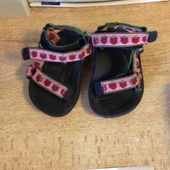 Waterschoentjes, as reported by Dolfinarium using iLost