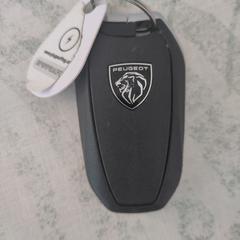 car keys, segundo informou a iLost