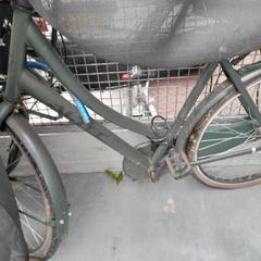 Dámské kolo Altec Groen, jak nahlášeno Fietsendepot Weert pomocí iLost