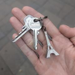 Bos sleutels met Eiffeltoren, como reportado ao iLost