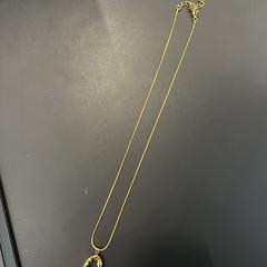 Gouden ketting, segundo informou a iLost