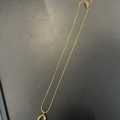 Gouden ketting, iLost에 보고됨