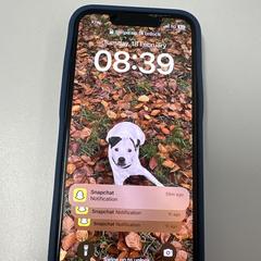 Iphone an iLost gemeldet
