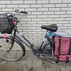 Kvinners sykkel, som rapportert av Gemeente Roermond ved bruk av iLost