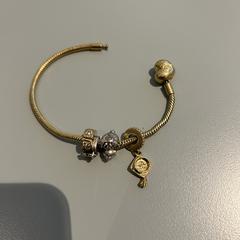 Armbandje, som rapporterats till iLost
