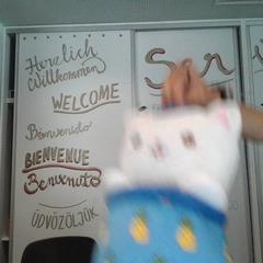 Plush toy blue pineapple cat, as reported by MEININGER Hotel Vienna Downtown Sissi using iLost