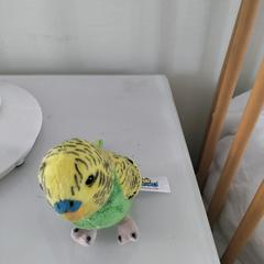 Parkiet geel/groen knuffel がiLostに報告されました