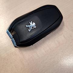 Car keys Modèle Peugeot, as reported by IKEA Grenoble using iLost