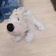 Coperta chien, come riportato da IKEA Liège utilizzando iLost