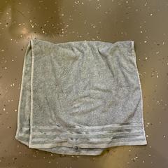 Towel, as reported by Room Mate Bruno using iLost